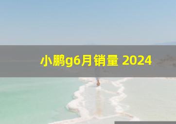 小鹏g6月销量 2024